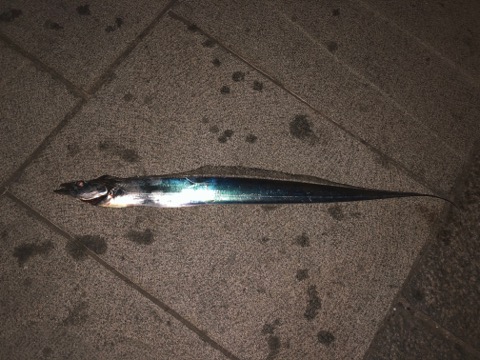 f:id:MCmamachari:20191205081511j:plain