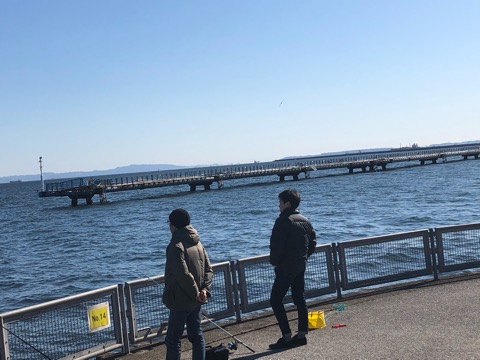 f:id:MCmamachari:20200212161459j:plain f:id:MCmamachari:20200212161459j:plain