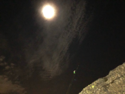 f:id:MCmamachari:20200307132446j:plain
