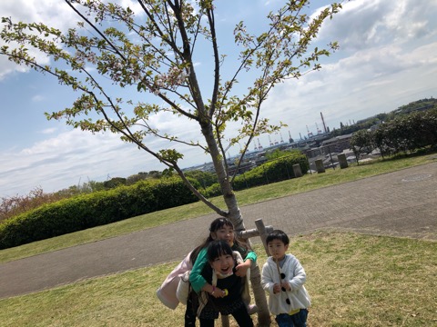 f:id:MCmamachari:20200412101123j:plain f:id:MCmamachari:20200412101123j:plain