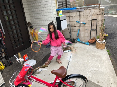 f:id:MCmamachari:20200422154647j:plain