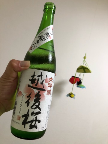 f:id:MCmamachari:20201206192704j:plain