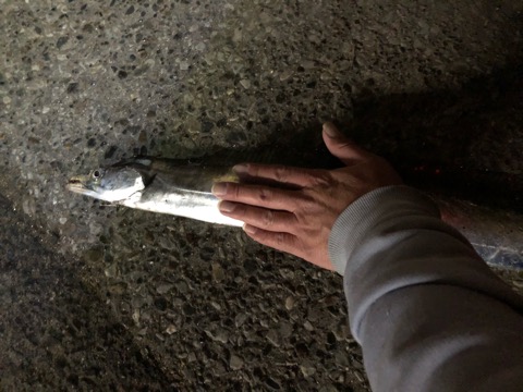 f:id:MCmamachari:20201208084544j:plain