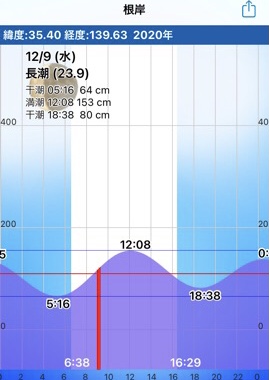 f:id:MCmamachari:20201217111821j:plain