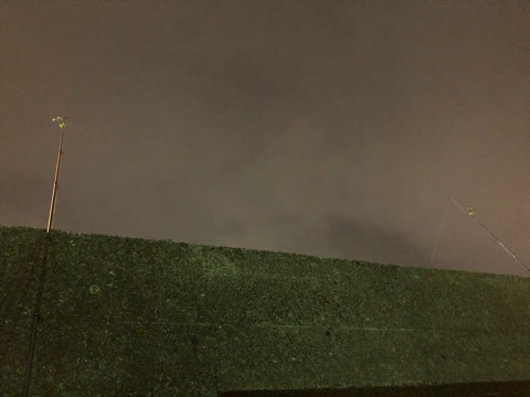 f:id:MCmamachari:20210107171047j:plain