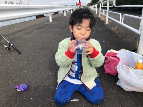 f:id:MCmamachari:20210310123636j:plain