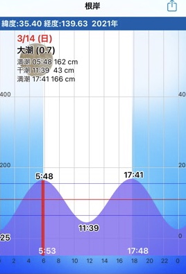 f:id:MCmamachari:20210320114620j:plain