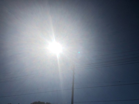 f:id:MCmamachari:20210320115116j:plain