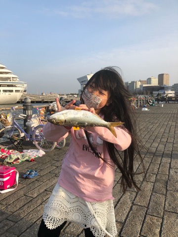 f:id:MCmamachari:20210321115350j:plain
