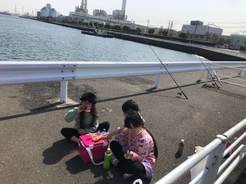 久しぶりにアタリがあったカレイ釣り 彡根岸湾 新ぶっ込み釣りブログ