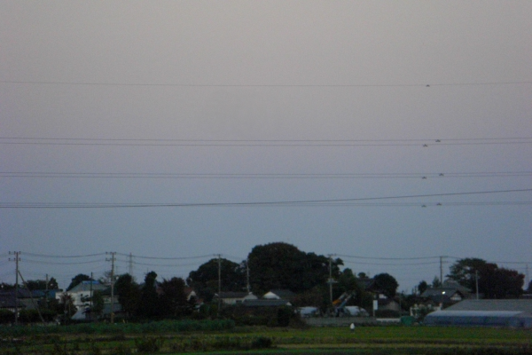 f:id:MDIAPP:20081210202413p:image