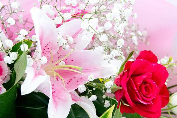 f:id:MEGAMISUN:20170309020519j:plain f:id:MEGAMISUN:20170309020519j:plain