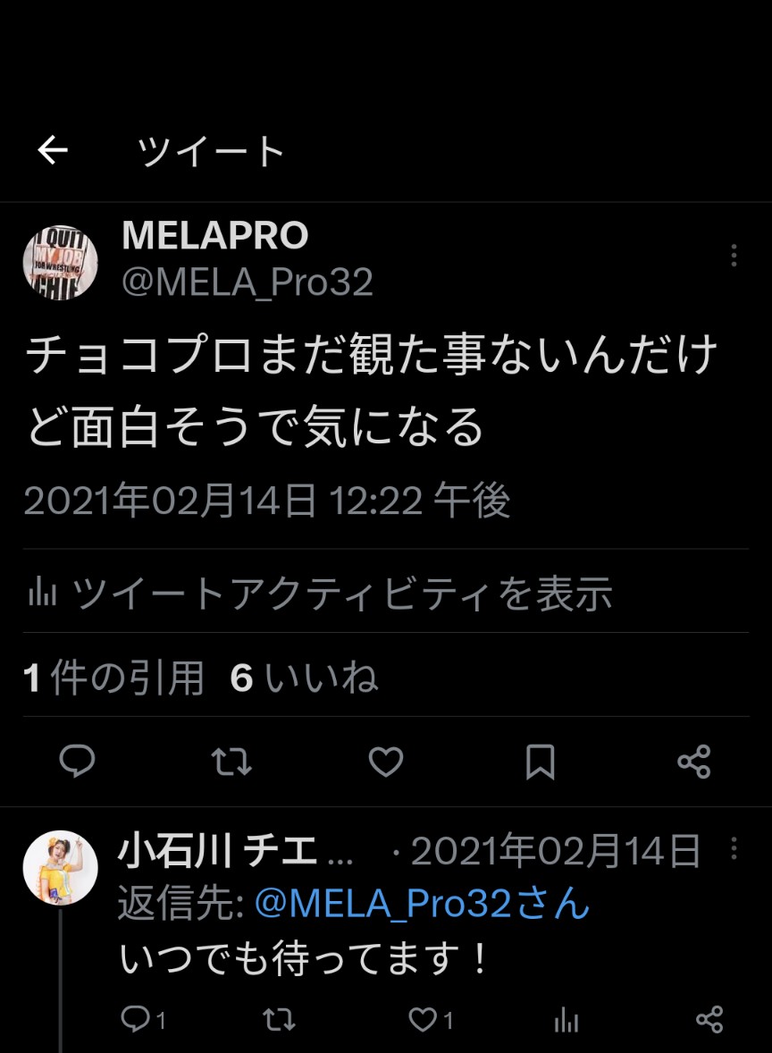 f:id:MELAPRO:20230609223713j:image