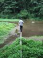 挑戦