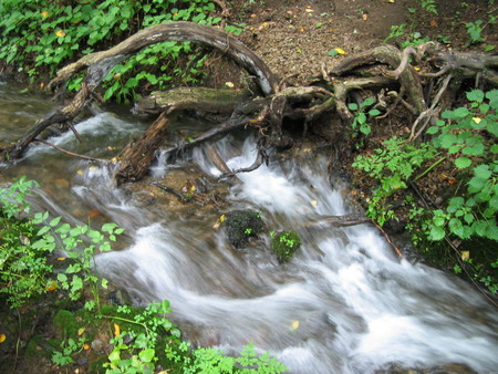 流れる水　川　軽井沢