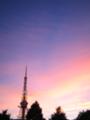 夕焼けの東京タワー