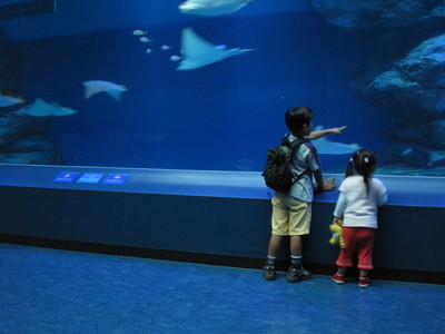 水族館　お兄ちゃんと私