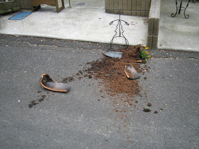 倒れた鉢植え