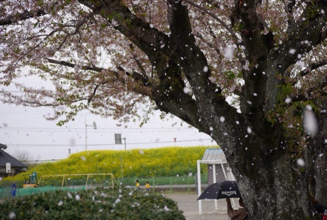 f:id:MFC-Mitsuma:20210404144958j:plain