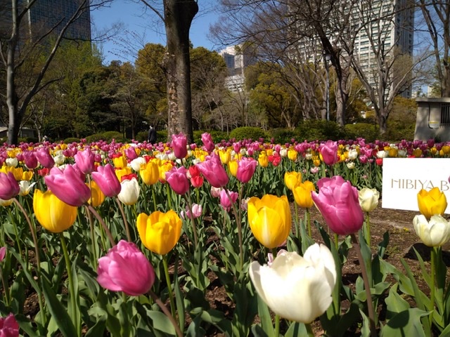 f:id:MFC-Mitsuma:20220409220731j:plain