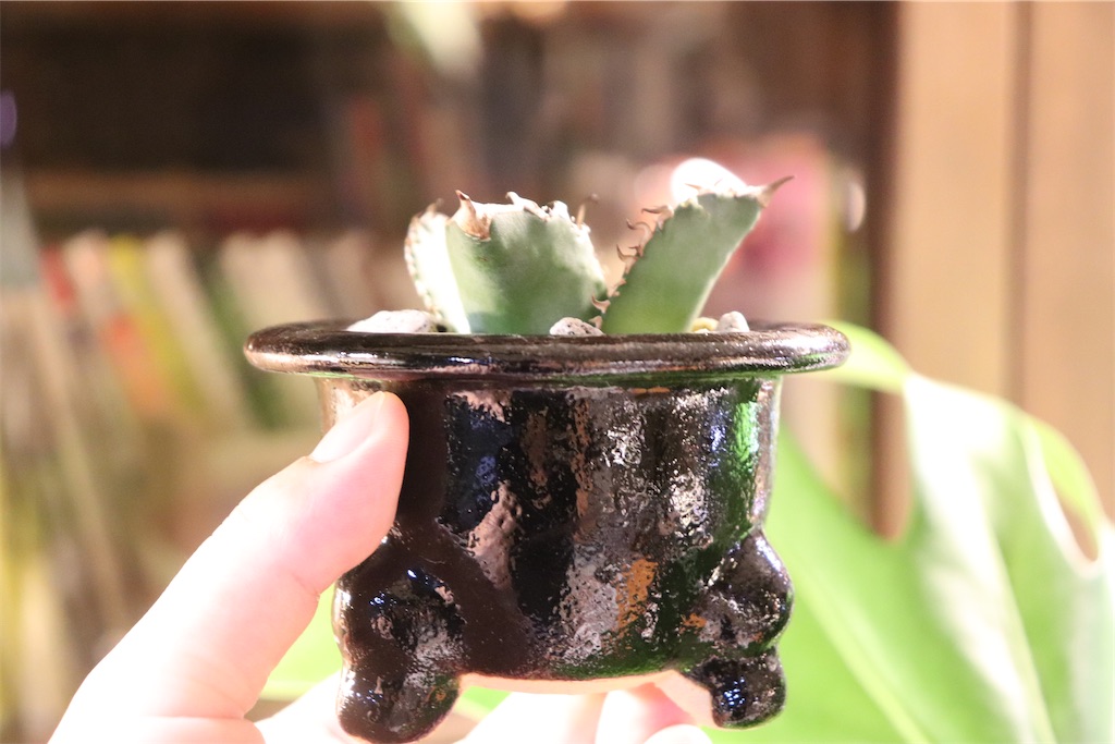 f:id:MFeuille:20221008232446j:image