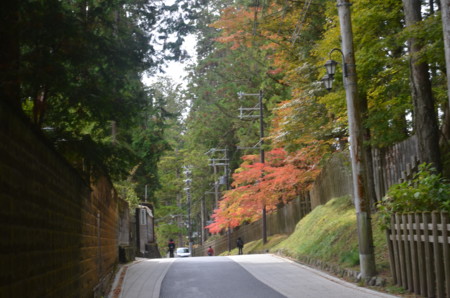 f:id:MGriderA:20151101110953j:image f:id:MGriderA:20151101110953j:image