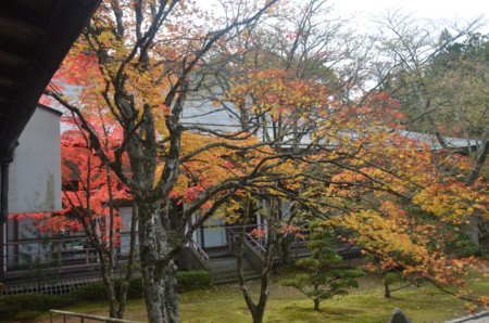 f:id:MGriderA:20151101112248j:image f:id:MGriderA:20151101112248j:image