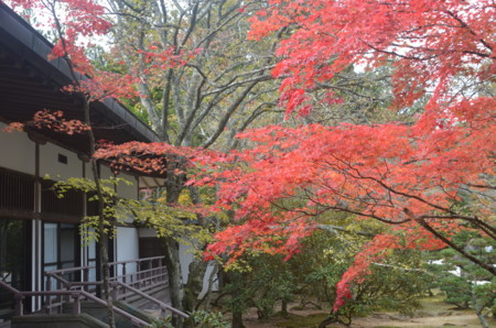 f:id:MGriderA:20151101112333j:image f:id:MGriderA:20151101112333j:image