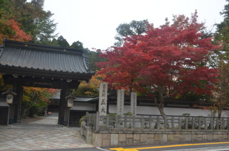 f:id:MGriderA:20151101121819j:image f:id:MGriderA:20151101121819j:image