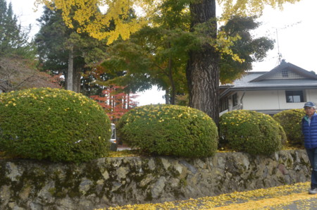 f:id:MGriderA:20151101121940j:image f:id:MGriderA:20151101121940j:image