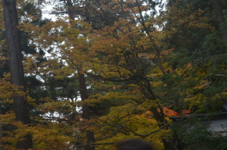 f:id:MGriderA:20151101122304j:image f:id:MGriderA:20151101122304j:image