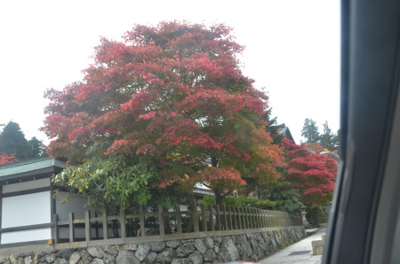f:id:MGriderA:20151101123059j:image f:id:MGriderA:20151101123059j:image