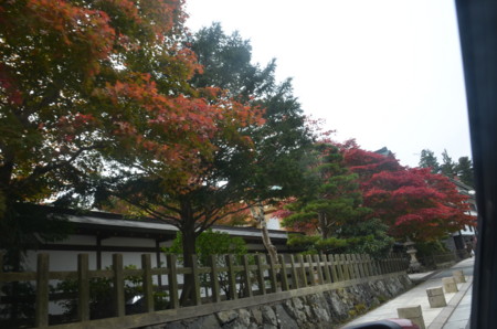 f:id:MGriderA:20151101123102j:image f:id:MGriderA:20151101123102j:image