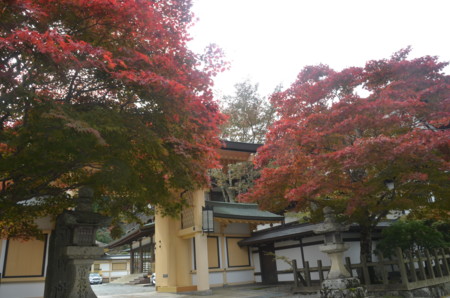 f:id:MGriderA:20151101123119j:image f:id:MGriderA:20151101123119j:image