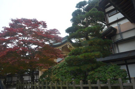 f:id:MGriderA:20151101123129j:image f:id:MGriderA:20151101123129j:image