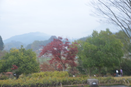 f:id:MGriderA:20151123160604j:image f:id:MGriderA:20151123160604j:image