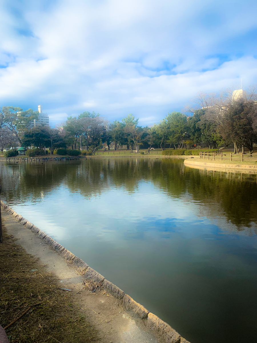 f:id:MIJYOKA:20220101184128j:plain