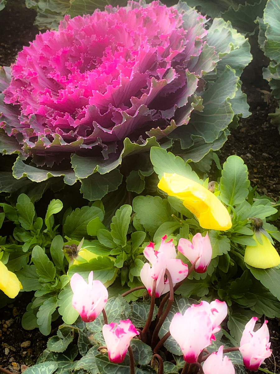 f:id:MIJYOKA:20220101184159j:plain