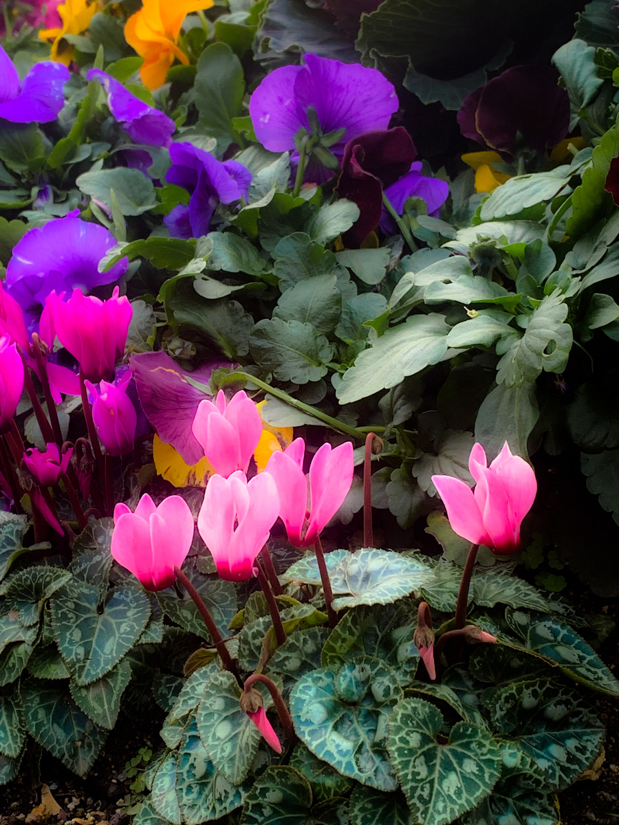 f:id:MIJYOKA:20220101184214j:plain