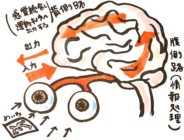 f:id:MIKANtan:20210905084122j:image f:id:MIKANtan:20210905084122j:image