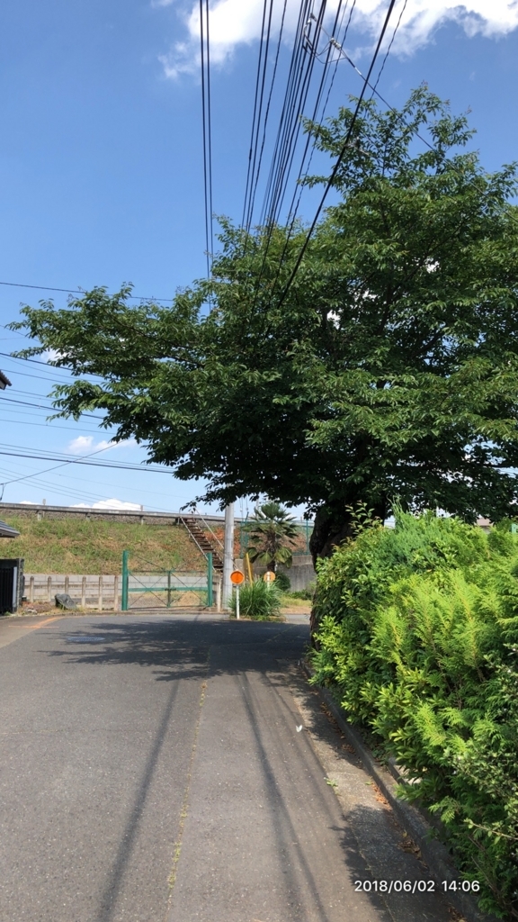 f:id:MIKIMOTO7:20180607005417j:plain f:id:MIKIMOTO7:20180607005417j:plain