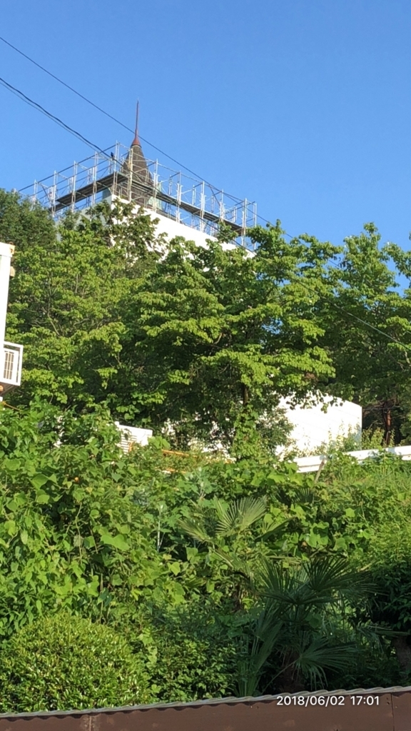 f:id:MIKIMOTO7:20180611201821j:plain