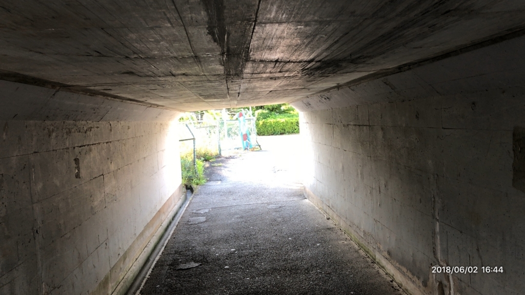 f:id:MIKIMOTO7:20180611205131j:plain