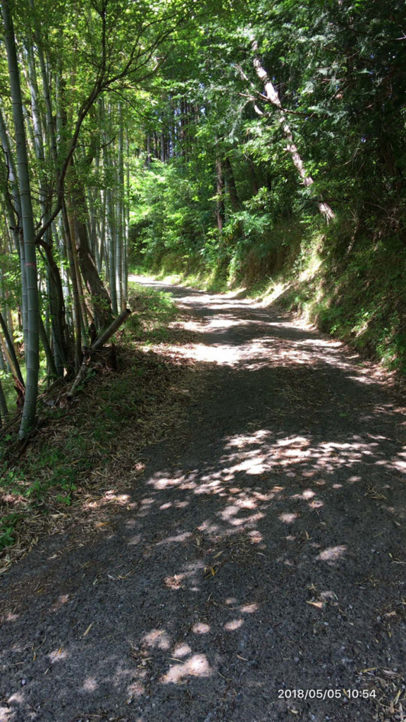 f:id:MIKIMOTO7:20180623230912j:plain f:id:MIKIMOTO7:20180623230912j:plain