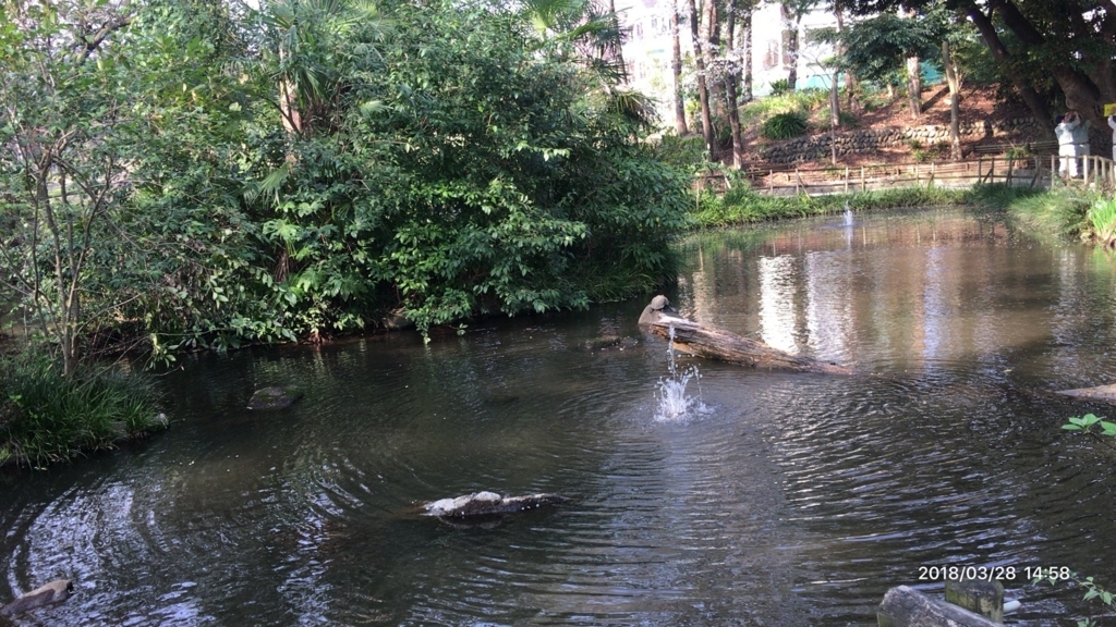 f:id:MIKIMOTO7:20180718233350j:plain