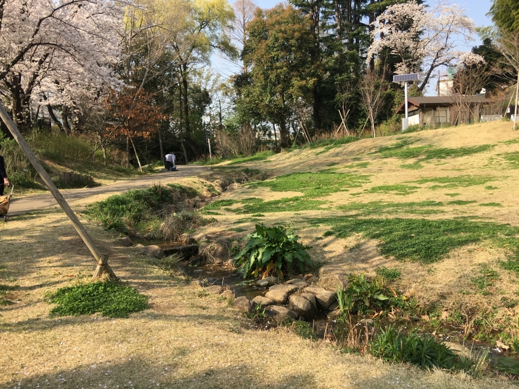 f:id:MIKIMOTO7:20180718233355j:plain