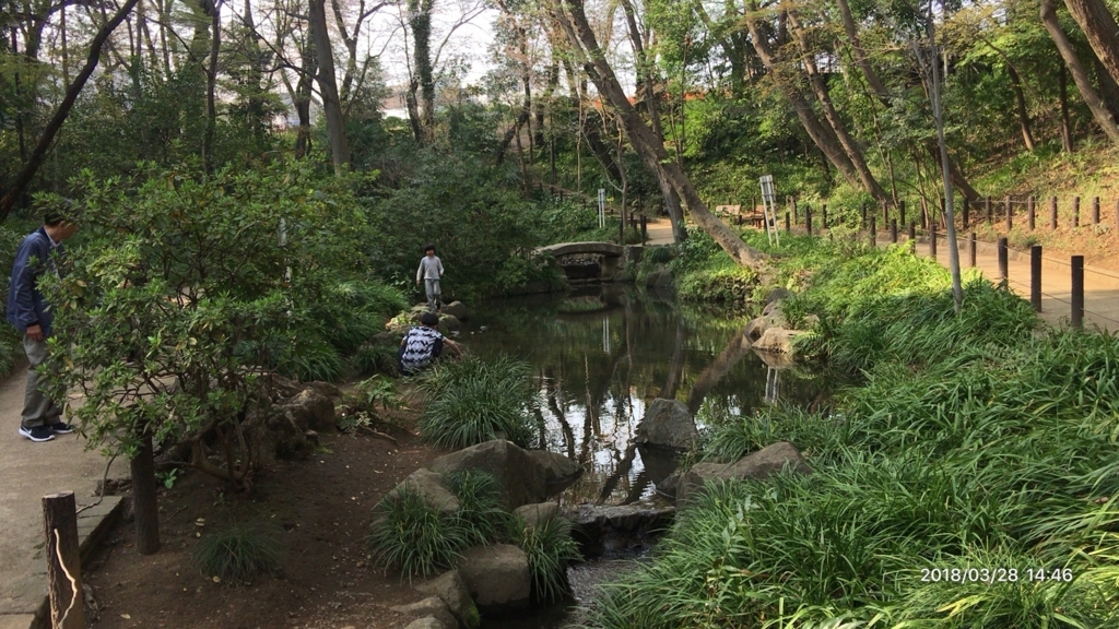 f:id:MIKIMOTO7:20180718233401j:plain