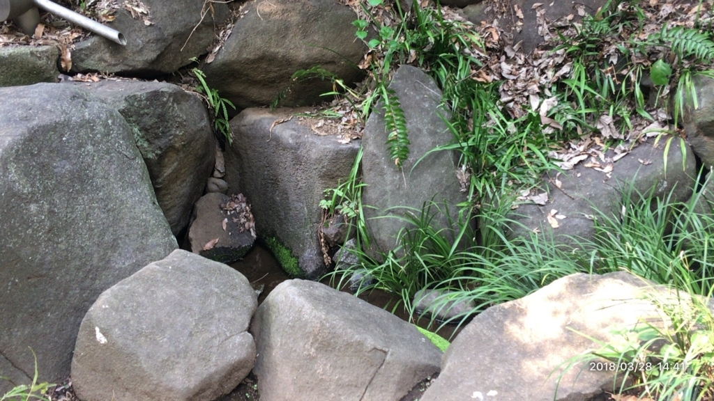 f:id:MIKIMOTO7:20180718233441j:plain