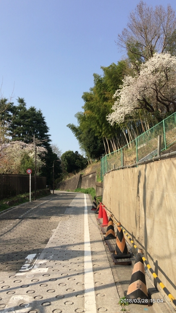 f:id:MIKIMOTO7:20180718234543j:plain