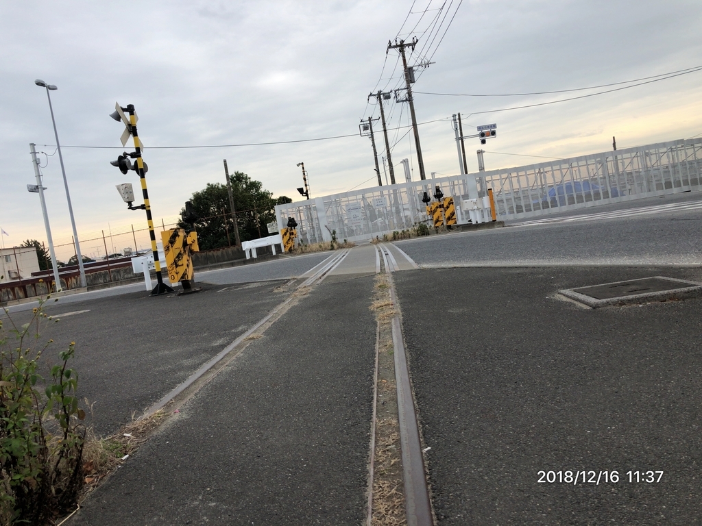 f:id:MIKIMOTO7:20190106212313j:plain